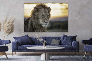 Mufasa On Fire - Image 2